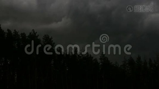 寒冷的阴雨天气，森林里阵阵狂风视频