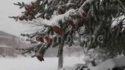 暴风雪乔纳斯暴风雪视频