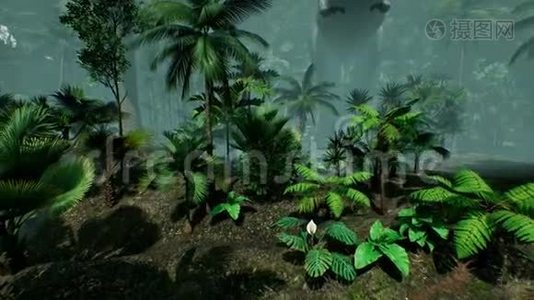 霸王龙恐龙丛林动画.. 现实的渲染。 4k.视频