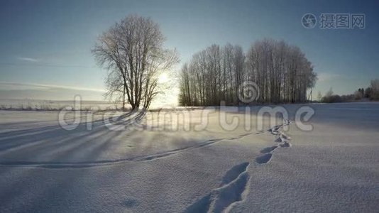 美丽的风景，在冬天的雪上有脚迹，时间流逝4K视频