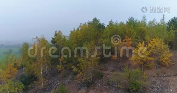 空中无人机录像。 日落时分，在雾中观赏森林、草地和山丘的秋山，光线非常柔和。视频