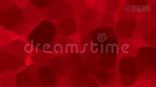 显微镜下提取红色血液颗粒视频