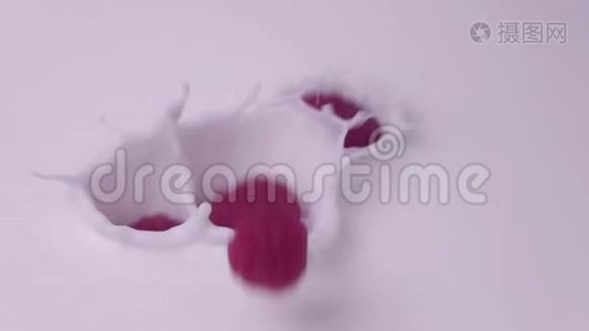 蔓越莓缓慢地落入牛奶中。 覆盆子慢慢地掉进酸奶里。视频