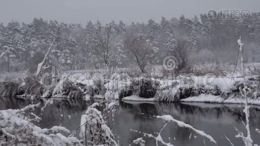 覆盖着大雪的树木视频