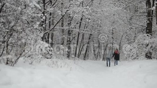 一对恋爱在雪林里的情侣。视频