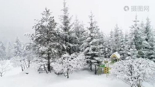 冬季喀尔巴阡山景观，白雪中的圣诞树..视频