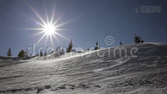 冬季景观。 寒冷的一天，雪在阳光下闪闪发光。视频