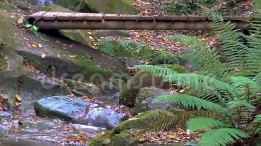 阴天的西班牙森林中美丽的瀑布视频