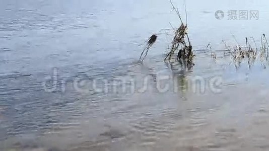 河流背景视频