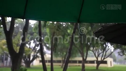 公园里的伞的一部分在雨中。 高清高清视频