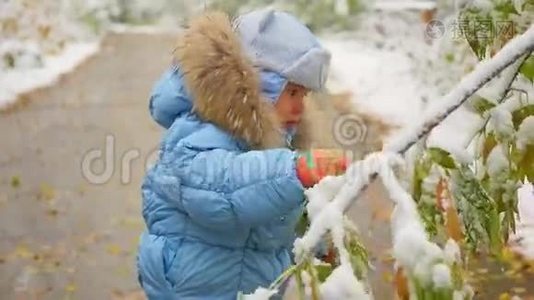 快乐的孩子在公园里玩雪树游戏视频