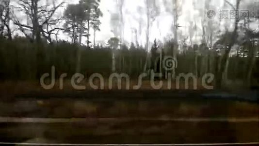 从火车窗口到森林的水平移动视频