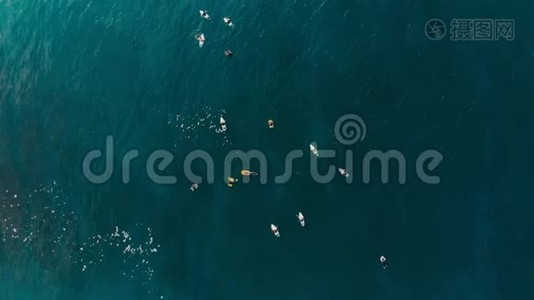 海上冲浪者的空中视野。 上景。 冲浪和海浪视频