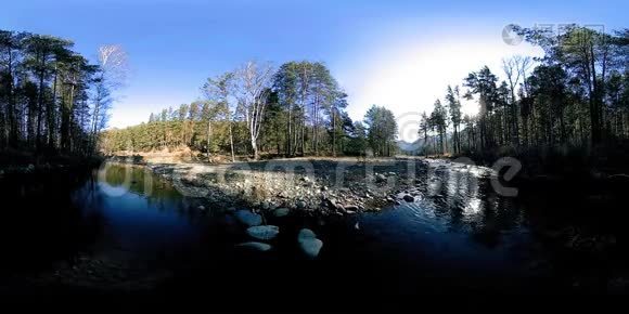 360VR虚拟现实的一片野山，松林和河流流淌.. 国家公园，草地和阳光。视频