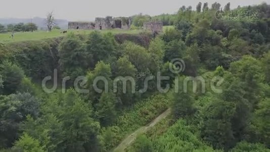 空中无人机镜头视图：飞行在秋天的山脉与森林，草地和山丘在日落柔和的光线。 欧洲视频