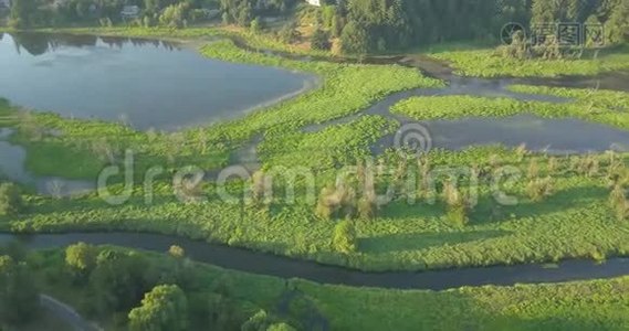 位于温哥华西北部、华盛顿哈泽尔地区的鲑鱼溪绿道视频