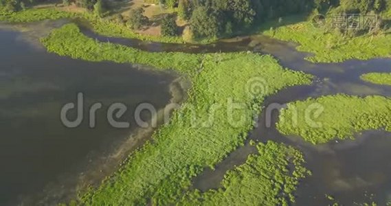 位于温哥华西北部、华盛顿哈泽尔地区的鲑鱼溪绿道视频