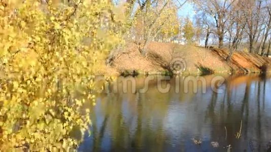 美丽的秋天公园和河流视频