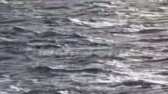 涟漪水面视频
