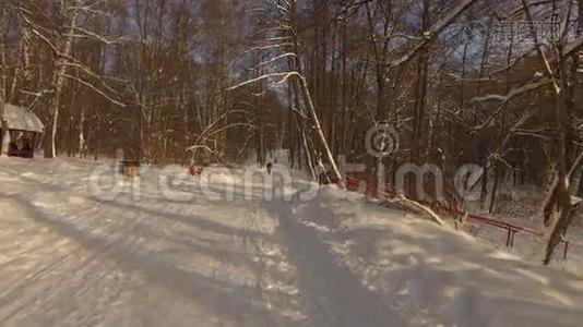 下雪的冬季公园视频