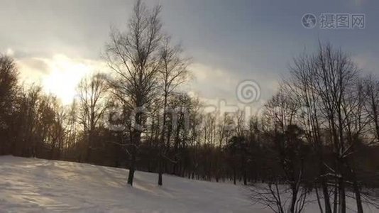 下雪的冬季公园视频