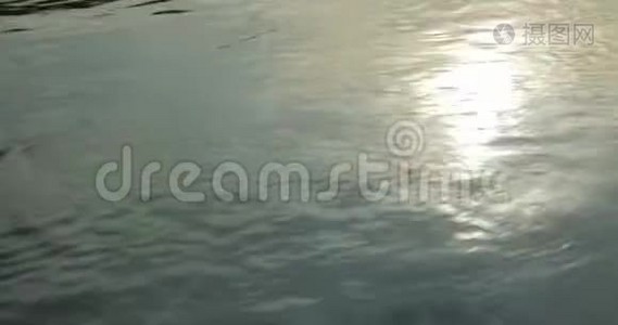 河中的阳光反射。视频