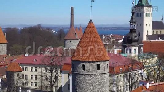 爱沙尼亚塔林老城全景。视频