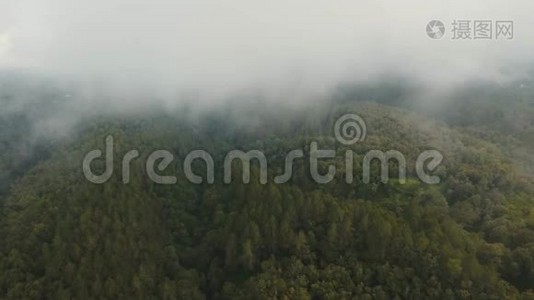 雨林在云，巴厘岛，印度尼西亚。视频