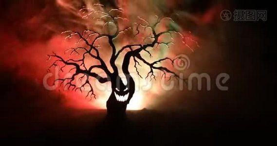 可怕的万圣节树的剪影，可怕的脸在黑暗的雾色调的背景，月亮在背面。 恐怖树与恐怖树视频