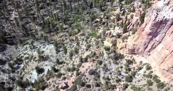 布莱斯峡谷国家公园的鸟瞰图视频