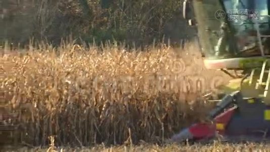 联合小麦玉米地收割机视频