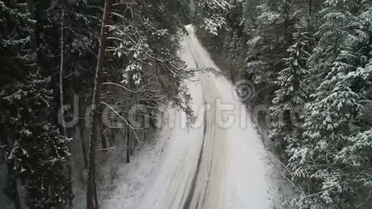 鸟瞰冬季雪林.视频