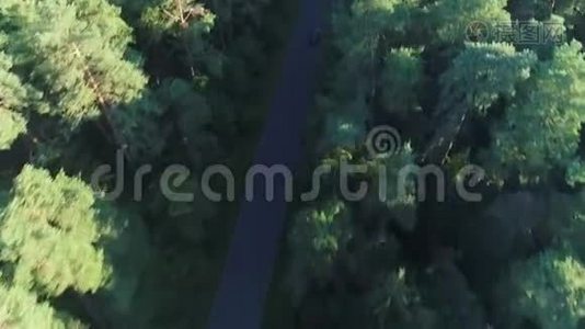 森林中跑车驾驶的鸟瞰图视频
