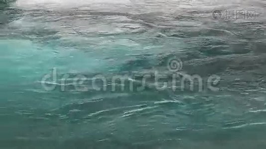 春天河水在流视频