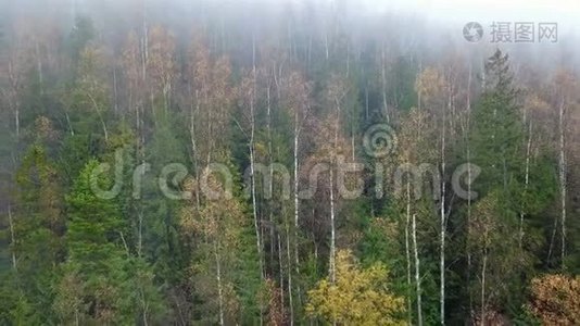 晨雾的高山空中景色视频