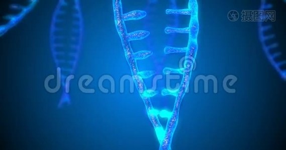 具有景深的抽象闪光DNA双螺旋.. 来自debrises的DNA构建动画。 科学动画视频
