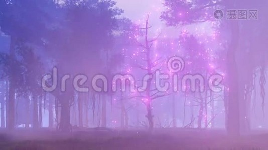 雾蒙蒙的山林4K动画视频