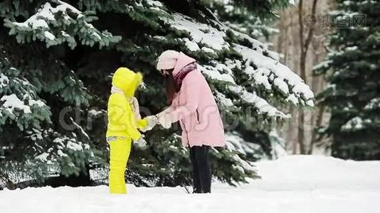 家庭在冬天在户外打雪球视频