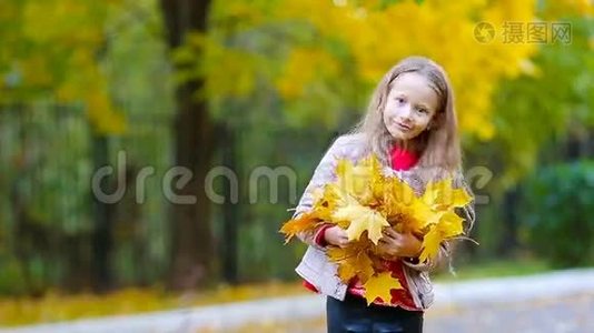美丽的秋日，户外有黄橙叶的可爱小女孩的画像视频