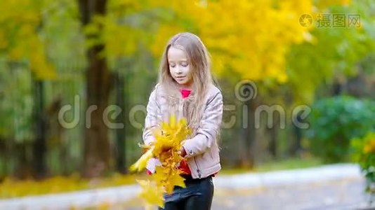 美丽的秋日，可爱的小女孩在户外玩树叶视频