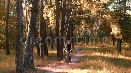 骑自行车的人骑着森林小径视频