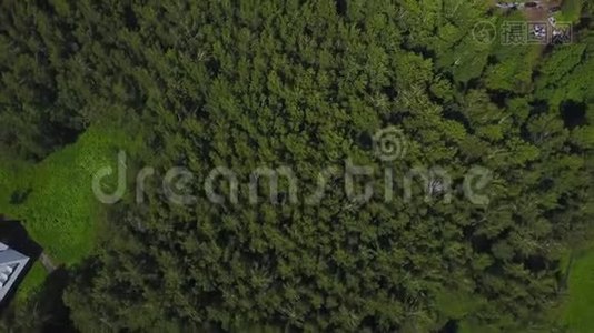 鸟瞰森林.. 从上面可以看到绿色公园的景色。 空中景观视频