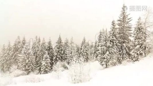 冬山景观，高刺和雪视频