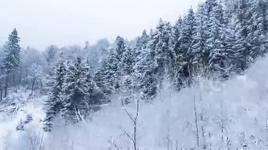 冬山景观，高刺和雪视频