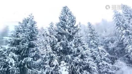 冬山景观，高刺和雪视频