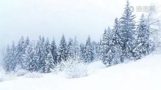 冬山景观，高刺和雪视频