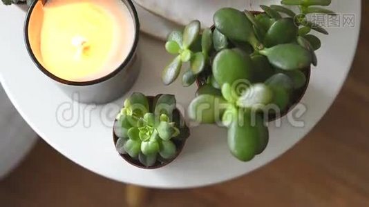 多汁和蜡烛，舒适的白色斯堪的纳维亚家庭装饰特写视频