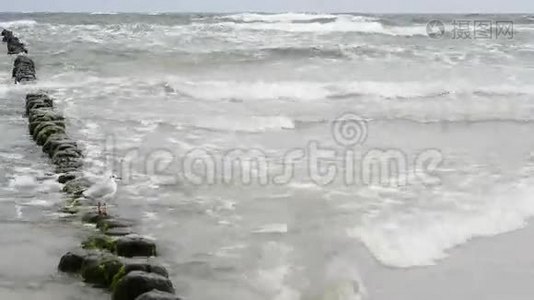 波罗的海海滩视频