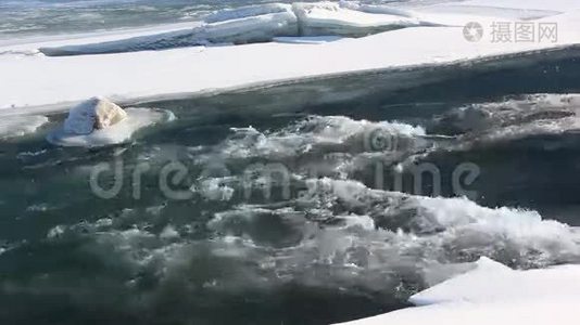 初春江上的冰融化视频