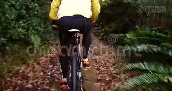 骑在森林里的男山地摩托车视频